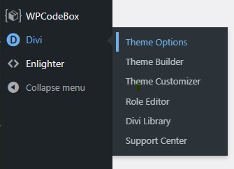 Divi Menu open, with Theme Options highlighted